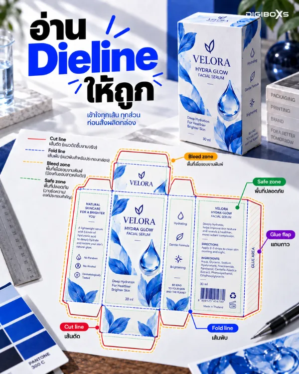 วิธีอ่านเส้น Dieline กล่อง ทั้งเส้นตัด เส้นพับ พื้นที่เผื่อขอบ และพื้นที่ปลอดภัย บนกล่องบรรจุภัณฑ์