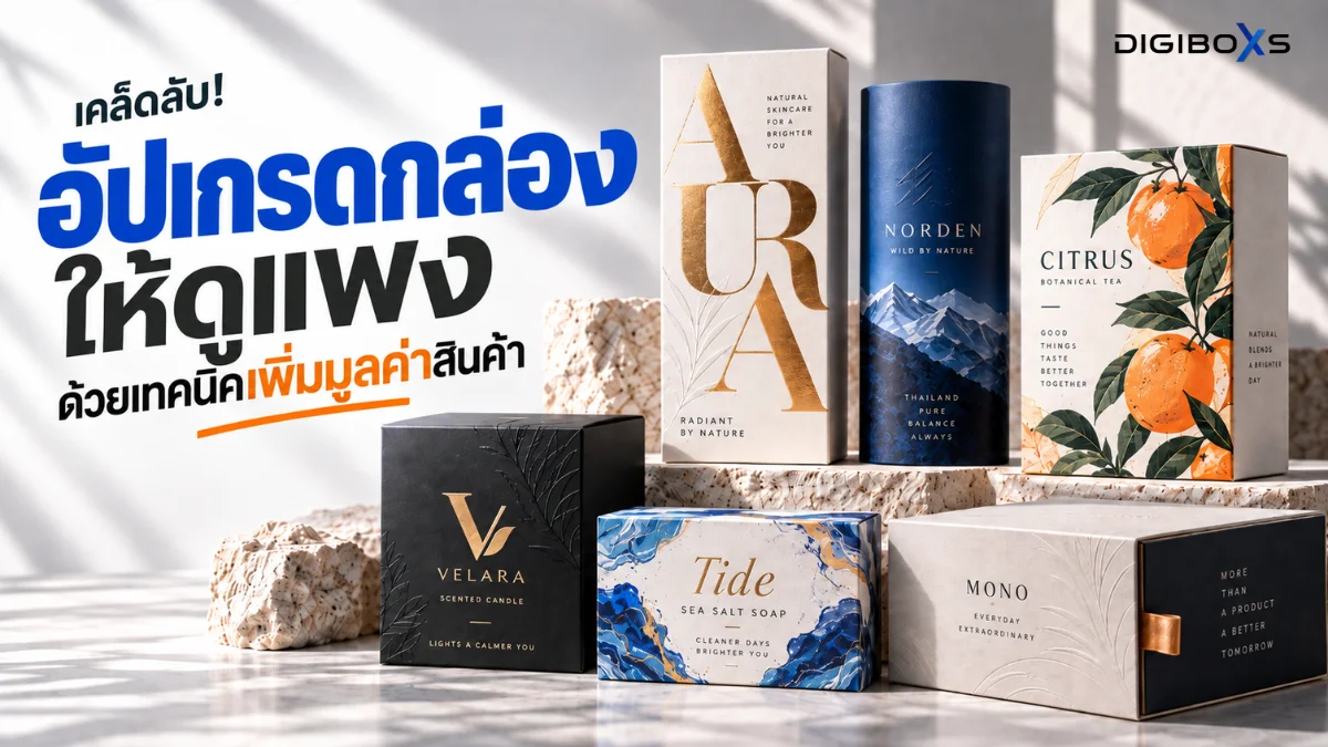 เคล็ดลับ! อัปเกรดกล่องให้ดูแพงด้วยเทคนิคเพิ่มมูลค่าสินค้า
